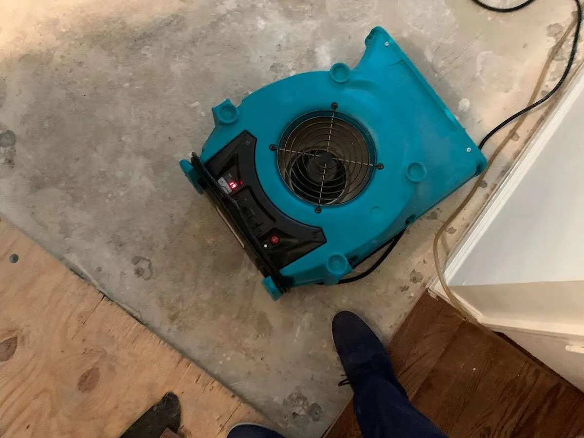 Air mover drying subfloor during Leak Detection & Repair in Olivehurst